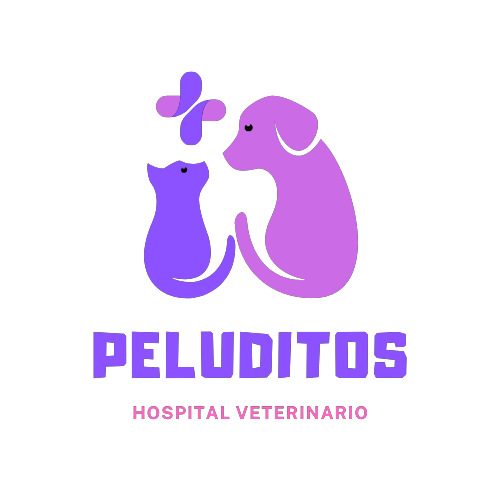 logo vet